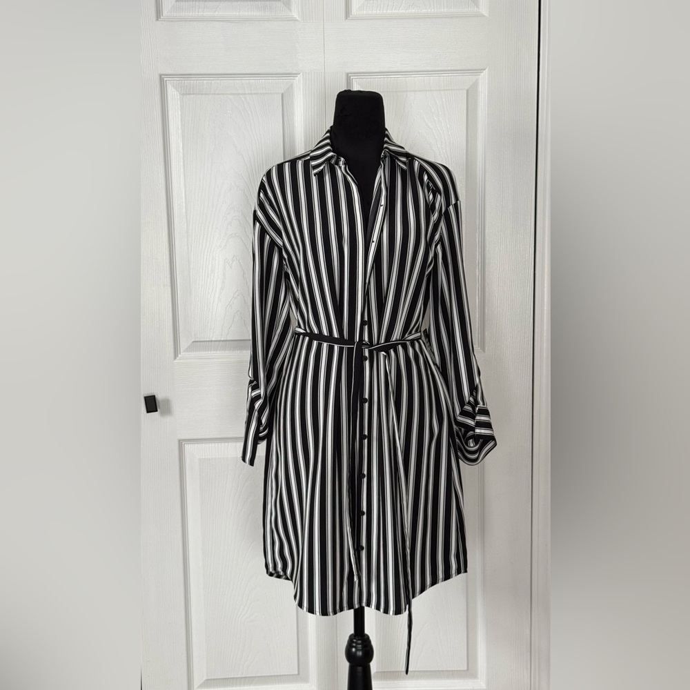 Express Stripped Shirtdress